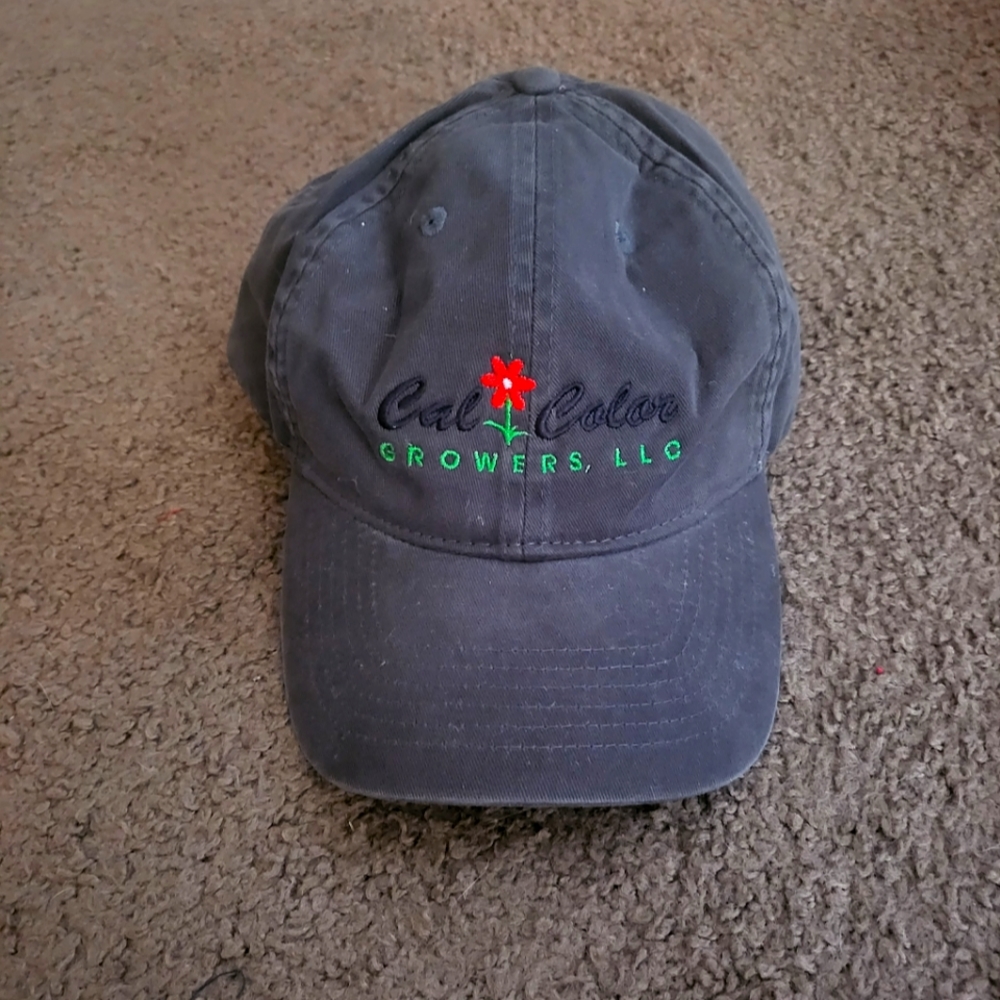 Cute CAL Colors Hat!